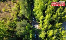 Safranbolu'nun “ağaç tüneli“, misafirlerine yeşilin içinde yolculuk keyfi yaşatıyor