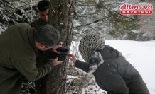 Bolu'da yaban hayvanları için doğaya yem bırakıldı