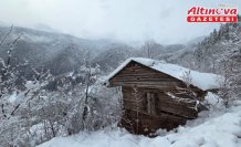 Ordu ve Artvin'de kar etkili oluyor