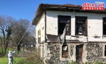 Bafra'da kahverengi kokarca zararlısına karşı kışlak ilaçlama çalışması yapılıyor