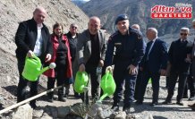 Artvin'de 450 zeytin fidanı toprakla buluştu