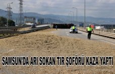 Samsun'da arı sokan tır şoförü kaza yaptı