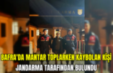 Bafra'da mantar toplarken kaybolan kişi jandarma tarafından bulundu