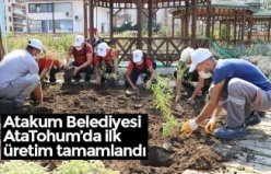 Atakum Belediyesi AtaTohum’da ilk üretim tamamlandı