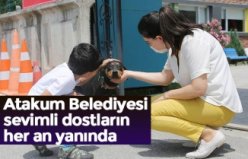 Atakum Belediyesi sevimli dostların her an yanında