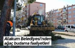 Atakum Belediyesi'nden ağaç budama faaliyetleri