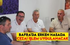 BAFRA'DA ERKEN HASADA CEZAİ İŞLEM UYGULANACAK