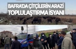 BAFRA’DA ÇİTÇİLERİN ARAZİ TOPLULAŞTIRMA İSYANI