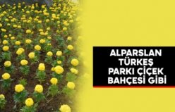 BAFRA ALPARSLAN TÜRKEŞ PARKI ÇİÇEK BAHÇESİ GİBİ