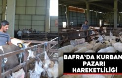 Bafra`da kurban pazarı hareketliliği