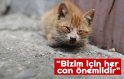 “Bizim için her can önemlidir”