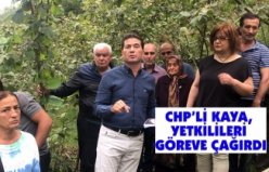 CHP’Lİ KAYA, YETKİLİLERİ GÖREVE ÇAĞIRDI