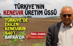 TÜRKİYE’NİN KENEVİR ÜRETİM ÜSSÜ