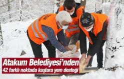 Atakum Belediyesi’nden 42 farklı noktada kuşlara yem desteği