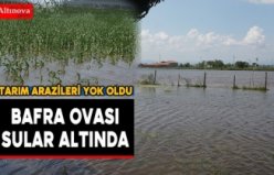 Bafra Ovası Sular altında kaldı