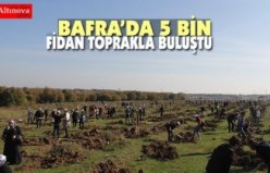 BAFRA’DA 5 BİN FİDAN TOPRAKLA BULUŞTU