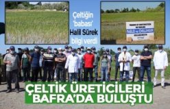 ÇELTİK ÜRETİCİLERİ BAFRA’DA BULUŞTU