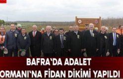 BAFRA`DA ADALET ORMANI`NA FİDAN DİKİMİ YAPILDI