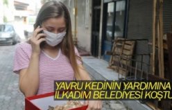 YAVRU KEDİNİN YARDIMINA İLKADIM BELEDİYESİ KOŞTU