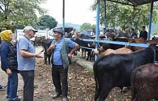 Kurbanlıklar, otomobil bagajında taşındı