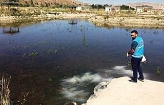 Bayburt'ta larvayla mücadelesi