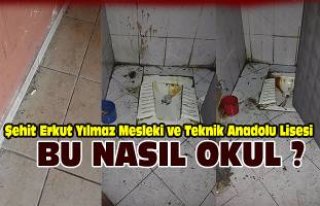 Bu nasıl okul