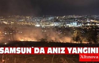 Samsun'da anız yangını