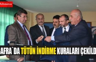 Bafra`da tütün bakım ve indirme kuraları çekildi