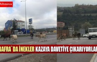 Kazaya davetiye çıkarıyorlar