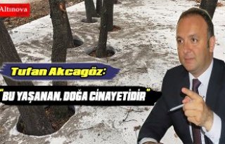 AKCAGÖZ:”MEŞE TESİSLERİNDE YAŞANAN, DOĞA CİNAYETİDİR”