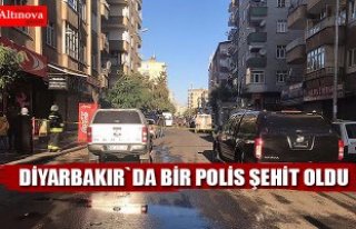 Bir polis şehit oldu