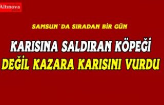 Eşine saldıran köpeğe ateş ederken karısını...