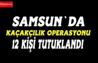 Samsun merkezli kaçakçılık operasyonu