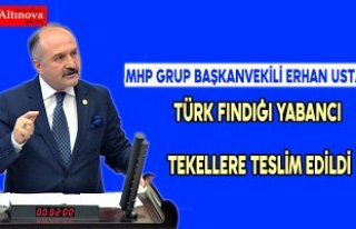 TÜRK FINDIĞI YABANCI TEKELLERE TESLİM EDİLDİ