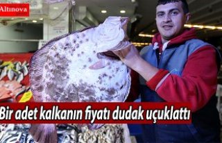 Bir adet kalkanın fiyatı dudak uçuklattı