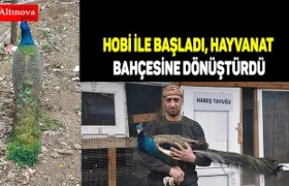 Hobi ile başladı, hayvanat bahçesine dönüştürdü