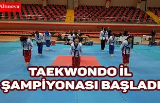 Taekwondo İl Şampiyonası başladı