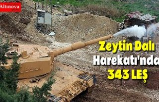 'Zeytin Dalı Harekatı'nda 343 terörist...