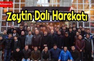 Zeytin Dalı Harekatı