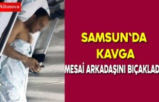 Tartıştığı mesai arkadaşını bıçakladığı...