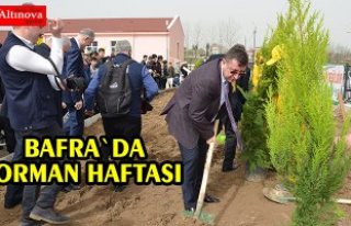 Bafra`da orman haftası