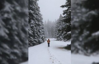 Bolu'da kar yağışı