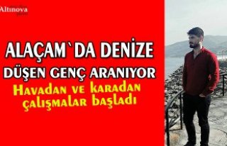 Denize düşen şahıs aranıyor