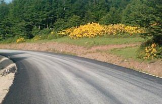 Akkuş'ta yol çalışmaları