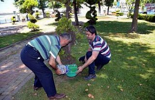 Sokak hayvanları için suluk