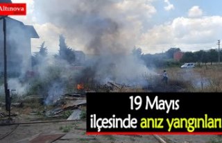 19 Mayıs ilçesinde anız yangınları