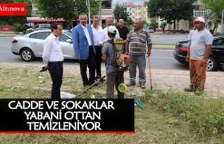 BAFRA BELEDİYESİ CADDE VE SOKAKLARI YABANİ OTTAN...