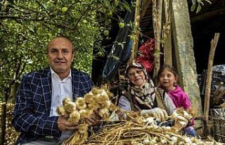 Başkan Arslan'dan çiftçilere ziyaret