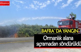 Ormanlık alana sıçramadan söndürüldü