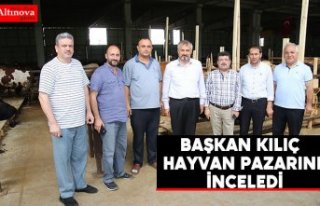 BAŞKAN KILIÇ HAYVAN PAZARINDA İNCELEMERDE BULUNDU